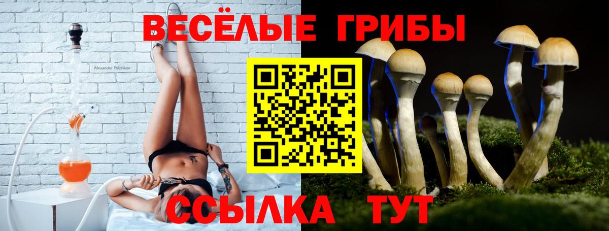 Галлюциногенные грибы Cubensis Абакан