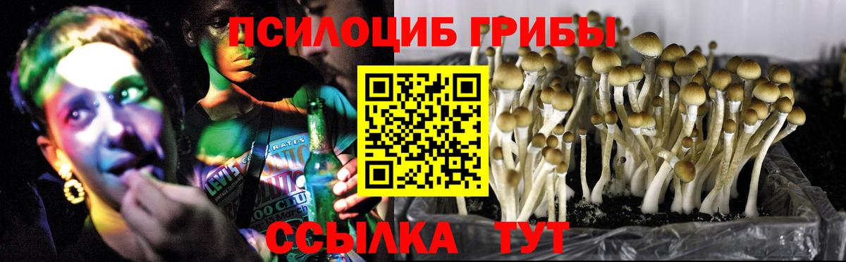 Абакан  Псилоцибиновые грибы мухоморы  купить наркоту  Вход с VPN 